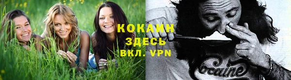 тгк Алзамай