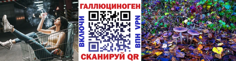 Псилоцибиновые грибы Cubensis  Чайковский 