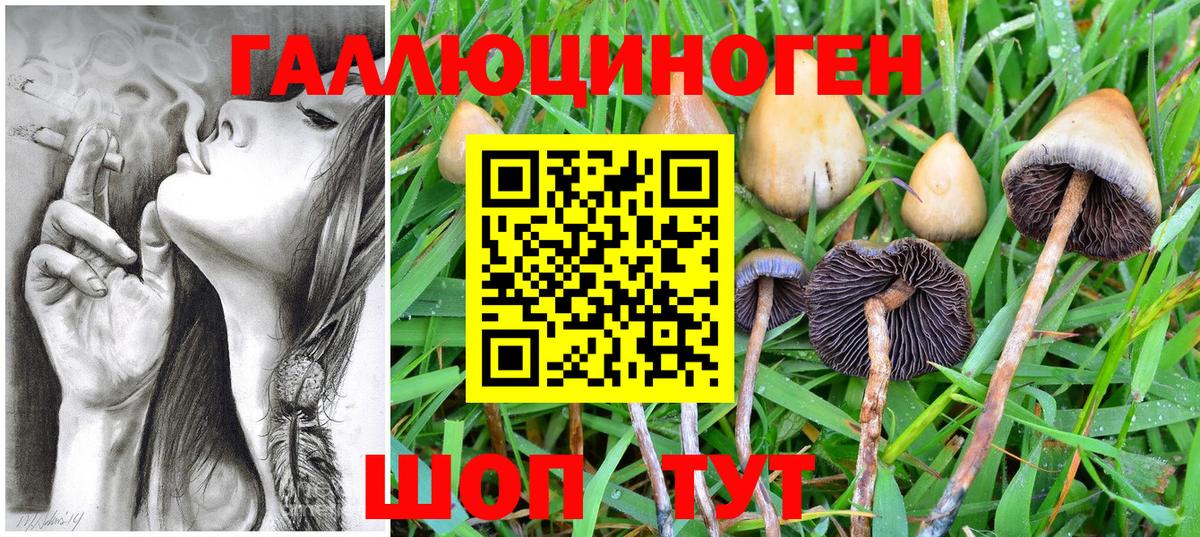 Псилоцибиновые грибы Cubensis Чайковский