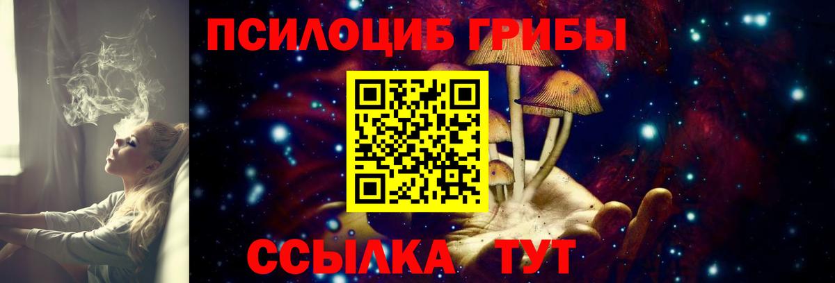 Галлюциногенные грибы Psilocybine cubensis  Псилоцибиновые грибы мицелий  Вход с VPN  Чайковский 