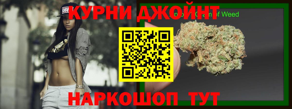 Каннабис VHQ  Канабис планчик  Чайковский  Вход с VPN 